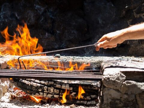Шашлыки «в законе»: где в Ленинском округе пожарить мясо на природе Новости Видное 